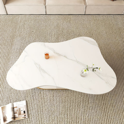 Modern Butterfly Coffee Table with Sintered Stone Top Oval Center Table with Storage Shelf & Drawer, Stainless Steel Base & MDF Cabinet